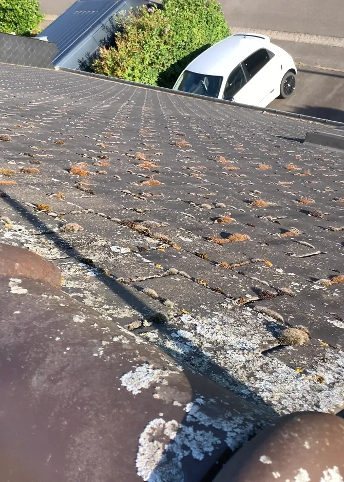 before-image