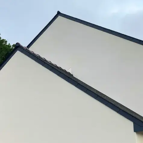 démoussage toitures à Janzé - image 3