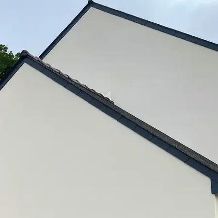 démoussage toitures Noyal-sur-Vilaine-5