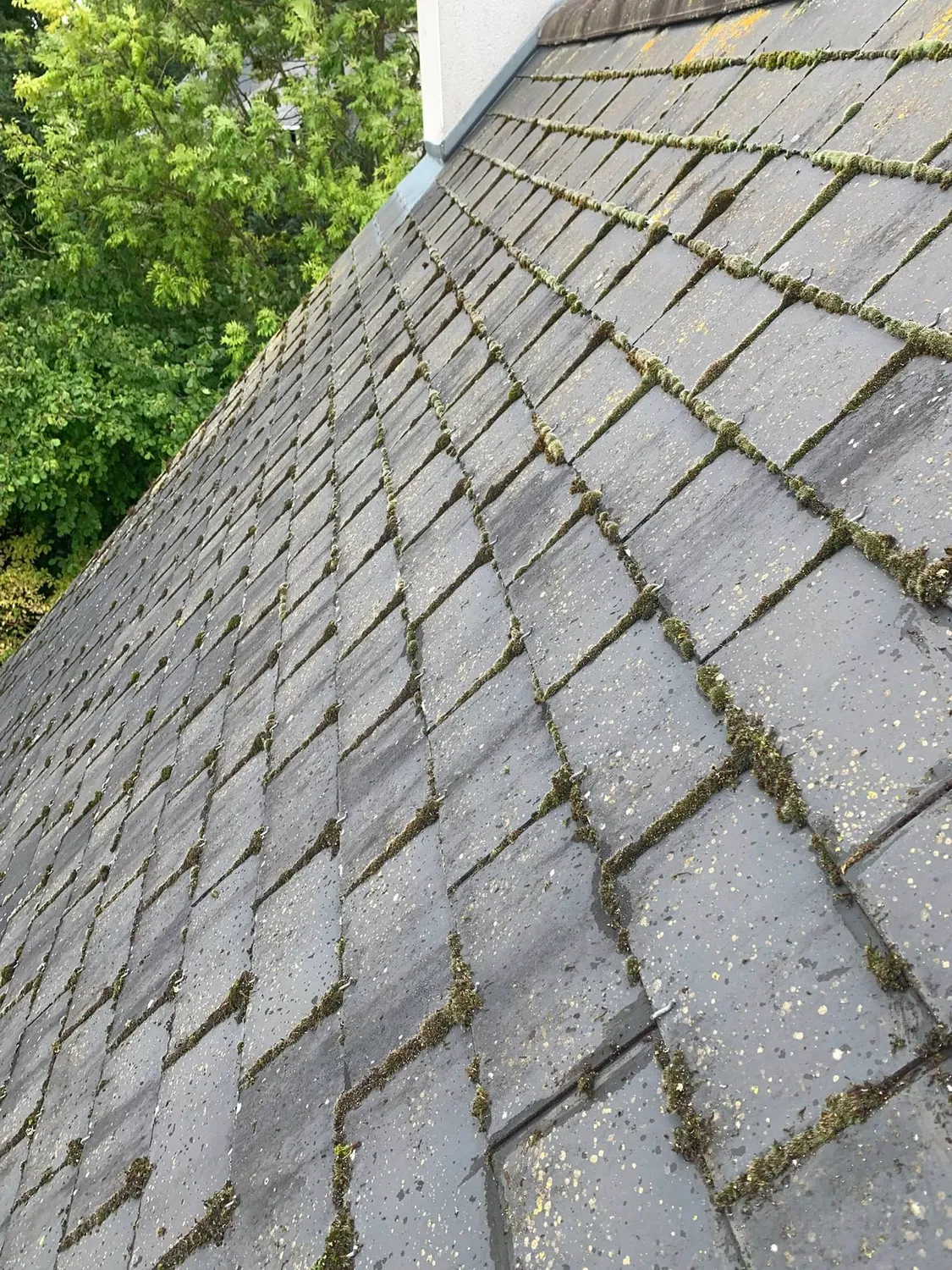 before-image